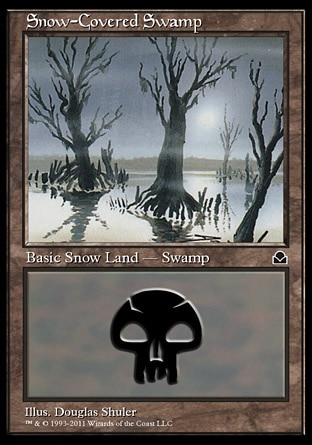 Snow-Covered Swamp