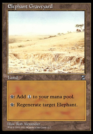 Elephant Graveyard