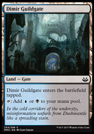 Dimir Guildgate