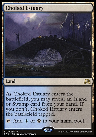 Choked Estuary