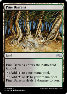 Pine Barrens